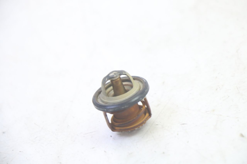 photo de THERMOSTAT PIAGGIO MP3 RL 250 (2006 - 2010) - Zoom on usage condition
