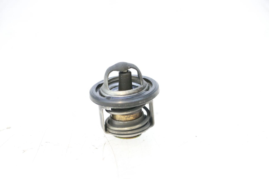 photo de THERMOSTAT PIAGGIO MP3 125 (2006 - 2014) - Main view