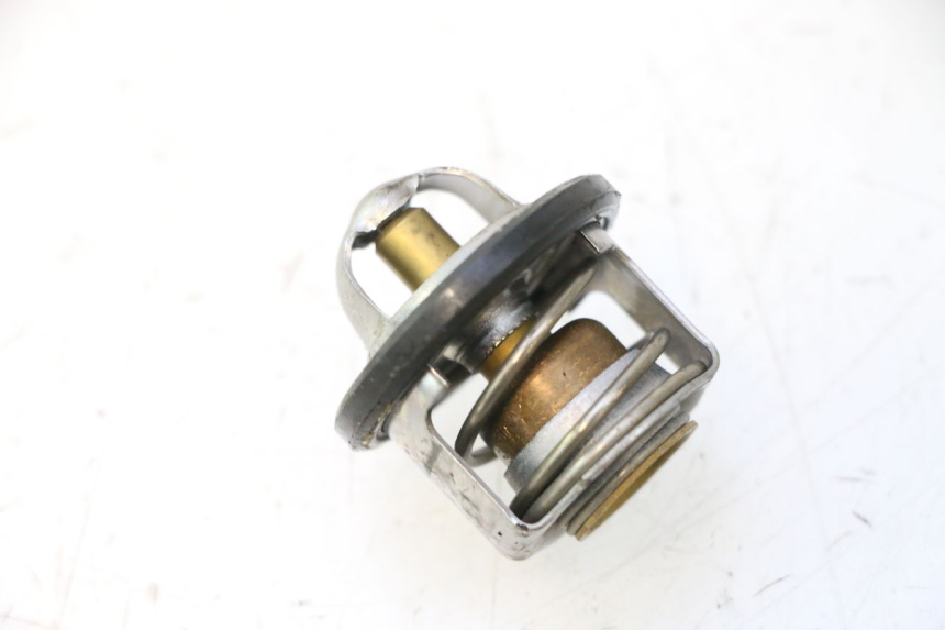 photo de THERMOSTAT PIAGGIO X9 EVOLUTION 125 (2003 - 2007) - Main view