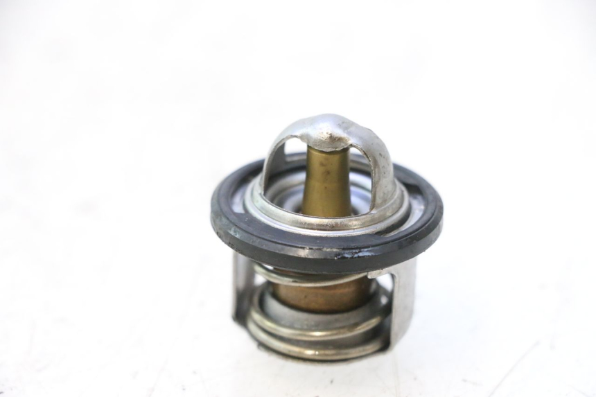 photo de THERMOSTAT PIAGGIO X9 EVOLUTION 125 (2003 - 2007) - Component detail