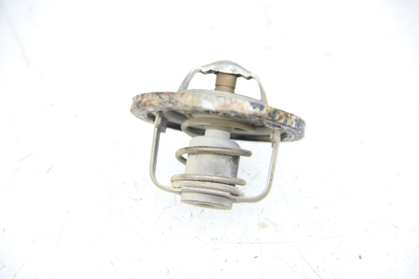 photo de THERMOSTAT YAMAHA XP T-MAX TMAX 500 (2004 - 2007) - Main view