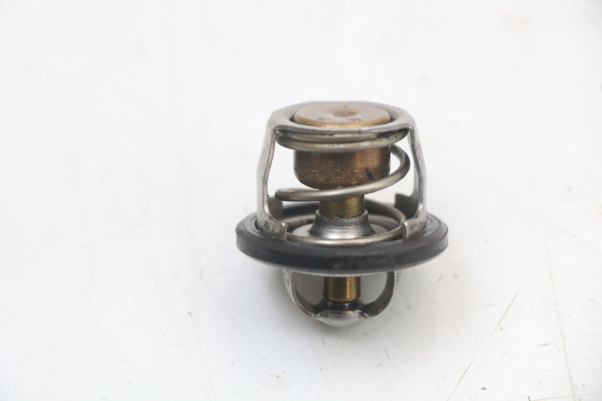 photo de THERMOSTAT YAMAHA YP MAJESTY 125 (2002 - 2006) - Zoom on usage condition