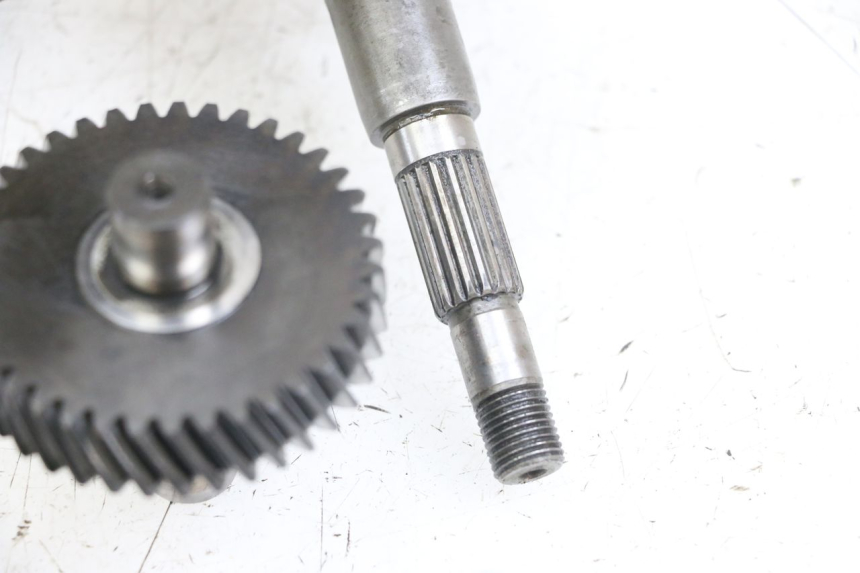 photo de WHEEL TRANSMISSION PEUGEOT SATELIS 125 (2006 - 2009) - Surface and material condition