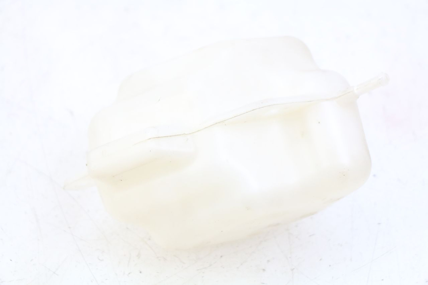 photo de EXPANSION TANK PEUGEOT CITYSTAR 125 (2011 - 2017) - Zoom on usage condition