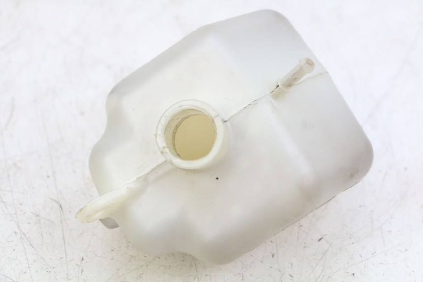 photo de EXPANSION TANK PEUGEOT CITYSTAR 125 (2011 - 2017) - Main view
