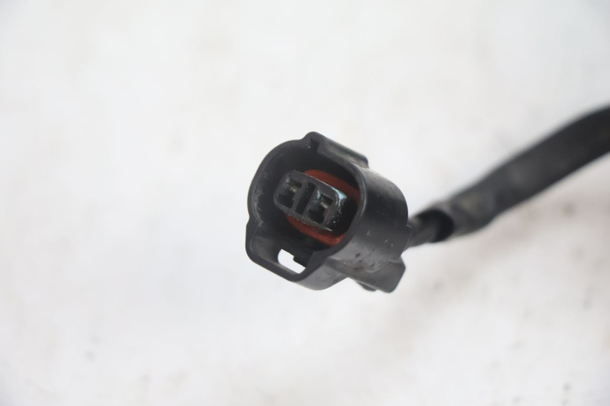 photo de FAN SUZUKI BURGMAN EXECUTIVE ABS 650 (2006 - 2012) - Technical close-up