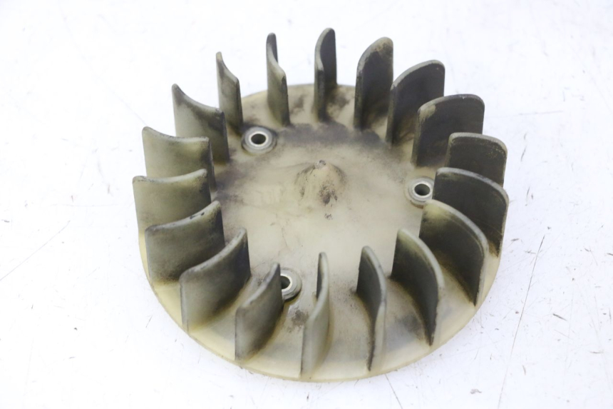 photo de FAN PEUGEOT CITYSTAR 50 (2013 - 2017) - Zoom on usage condition