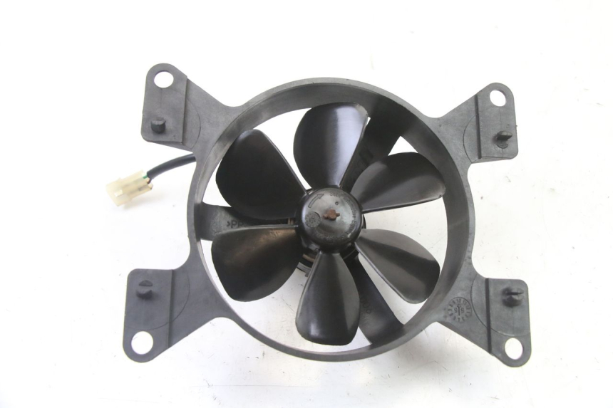 photo de FAN PEUGEOT ELYSEO 125 (1999 - 2004) - Main view