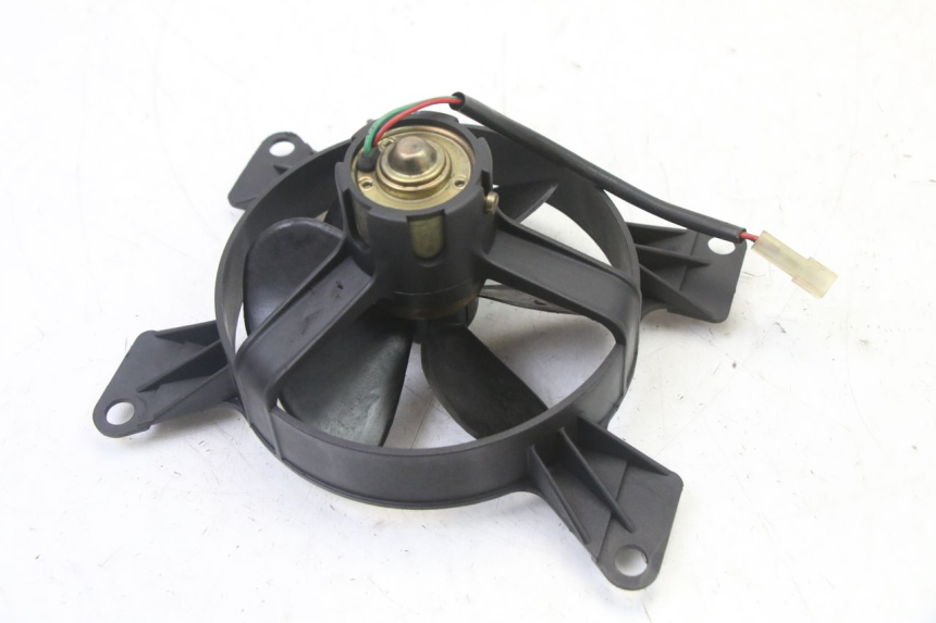 photo de FAN PEUGEOT ELYSEO 125 (1999 - 2004) - Zoom on usage condition
