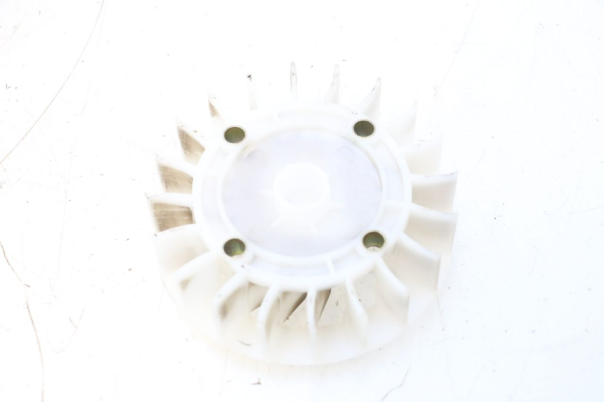 photo de FAN JM MOTORS EVOLIS 4T 50 (2018 - 2022) - Component detail