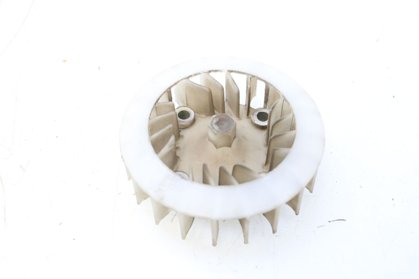 photo de FAN JM MOTORS F45i 4T 50 (2020 - 2023) - Zoom on usage condition