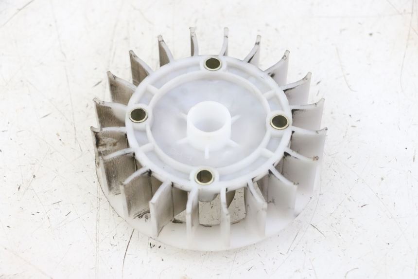 photo de FAN JM MOTORS MIA 50 (2017 - 2020) - Zoom on usage condition