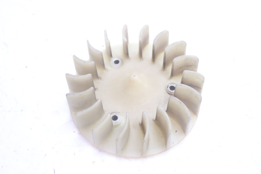 photo de FAN PEUGEOT KISBEE 2T 50 (2010 - 2017) - Main view