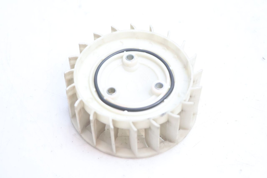 photo de FAN LONGJIA LJ50QT 8M 2T 50 (2010 - 2017) - Zoom on usage condition