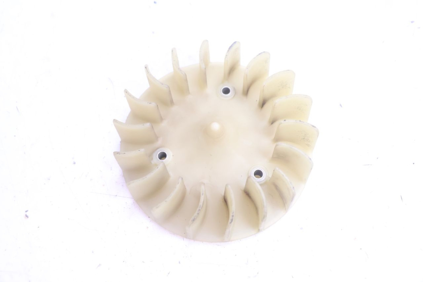 photo de FAN PEUGEOT LUDIX PRO 2T 50 (2010 - 2017) - Main view