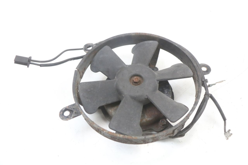 photo de FAN HONDA NTV DEAUVILLE 650 (1998 - 2001) - Main view