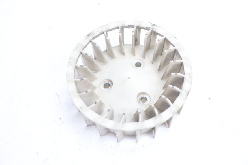 photo de FAN TNT MOTOR ROMA 12' 2T 50 (2007 - 2018) - Component detail