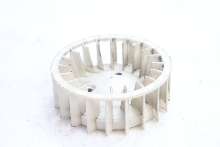 photo de FAN TNT MOTOR ROMA 12' 2T 50 (2007 - 2018) - Main view