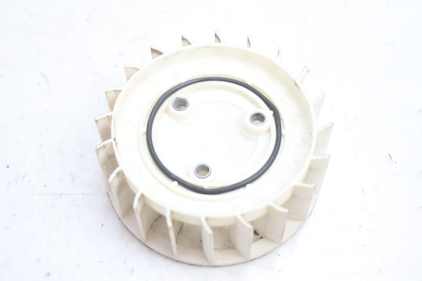 photo de FAN TNT MOTOR ROMA 12' 2T 50 (2007 - 2018) - Zoom on usage condition