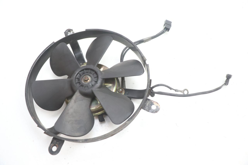 photo de FAN HONDA ST PAN EUROPEAN 1100 (1990 - 2002) - Main view