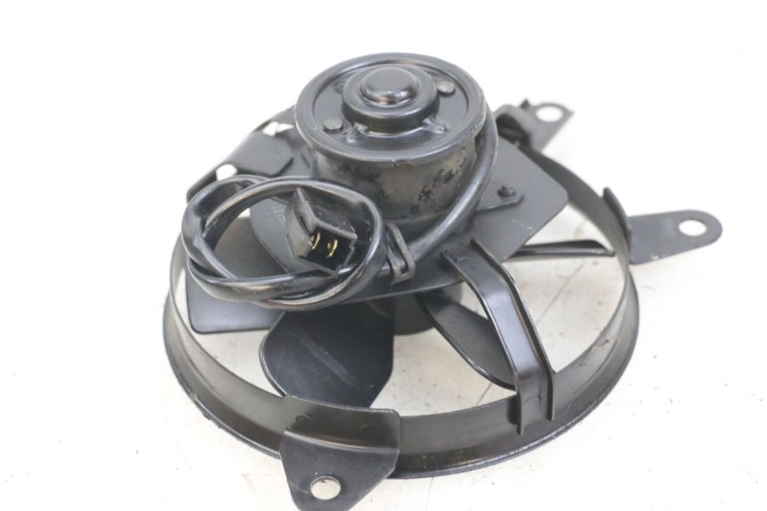 photo de FAN SUZUKI SV N 650 (1999 - 2002) - Zoom on usage condition