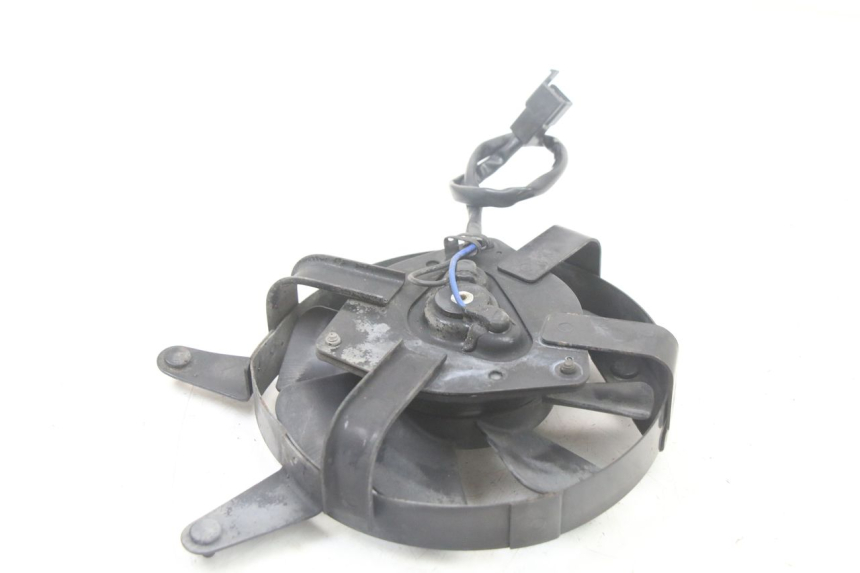 photo de FAN YAMAHA FZS FAZER 600 (2001 - 2003) - Alternative perspective