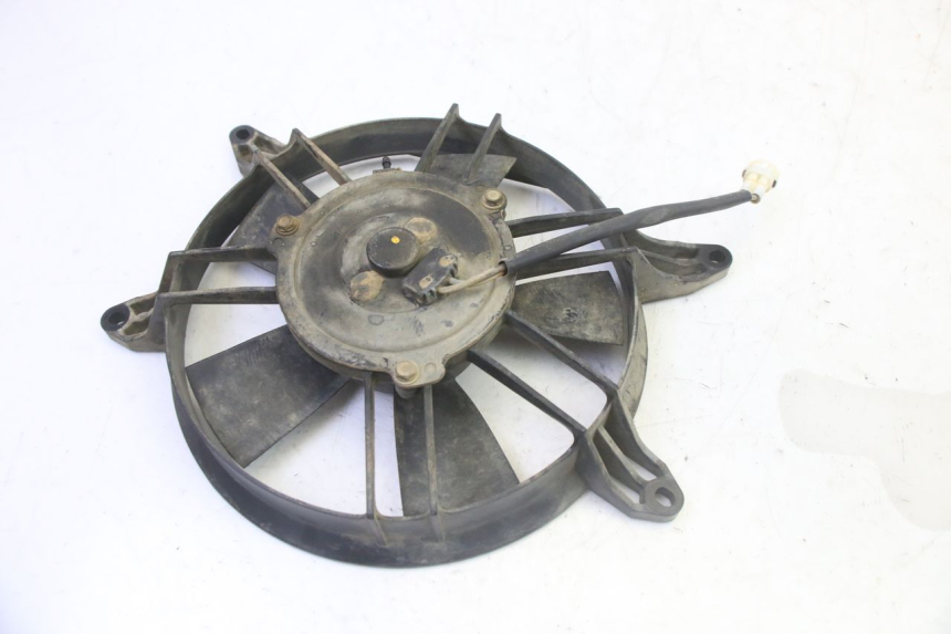 photo de FAN YAMAHA YFM GRIZZLY 550 (2008 - 2015) - Zoom on usage condition