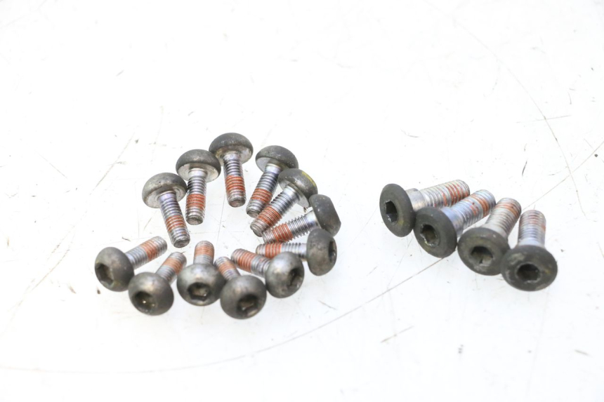 photo de BRAKE DISC BOLT HONDA CB F HORNET 600 (2005 - 2006) - Product overview