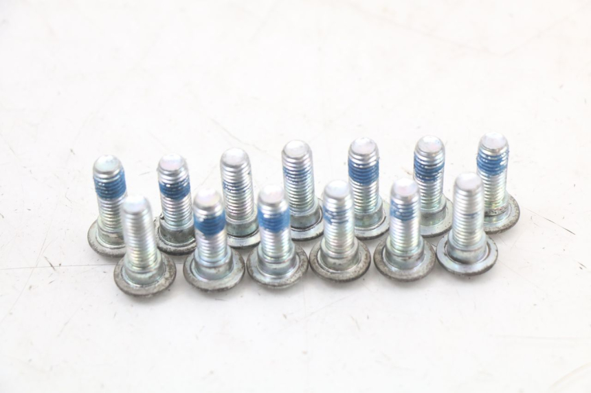 photo de BRAKE DISC BOLT EBROH BRAVO GLE 1 (2020 - 2024) - Zoom on usage condition