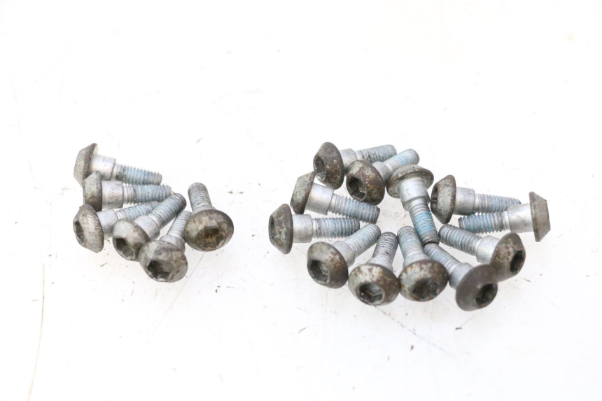 photo de BRAKE DISC BOLT YAMAHA FJR 1300 (2001 - 2005) - Alternative perspective