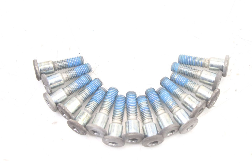 photo de BRAKE DISC BOLT SUZUKI GSF S BANDIT 600 (2000 - 2004) - Zoom on usage condition