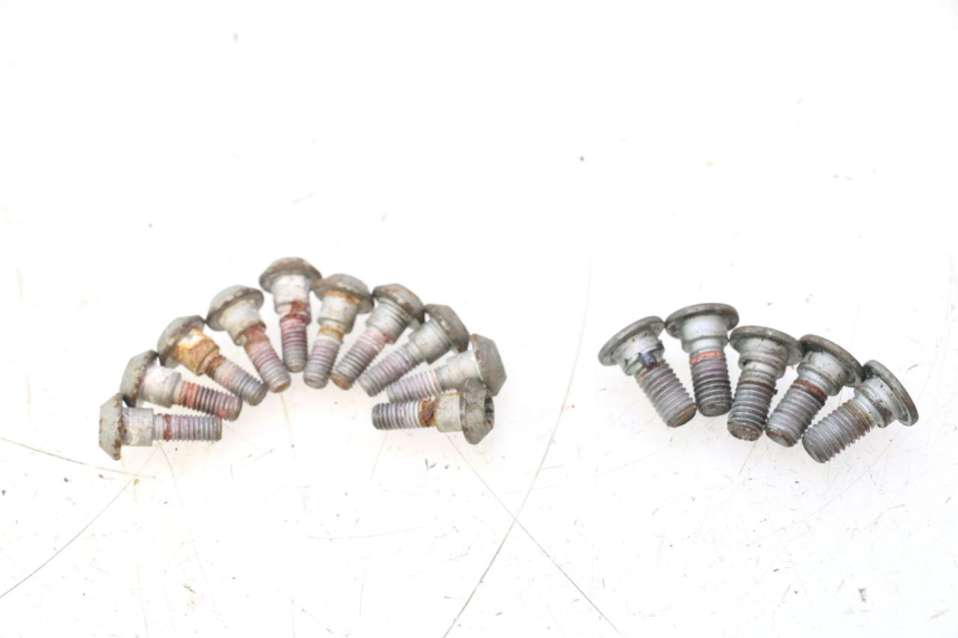 photo de BRAKE DISC BOLT YAMAHA YZF R6 600 (2008 - 2009) - Alternative perspective